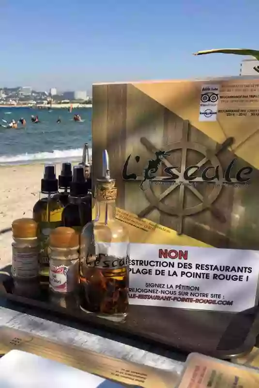 Restaurant l'Escale - Restaurant Pointe Rouge Marseille - La carte de l’escale restaurant méditerranéen